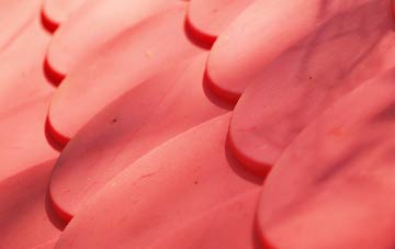 Carron plastic roof costs