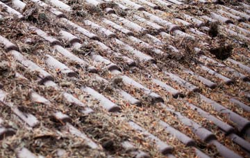 Carron roof cleaning companies