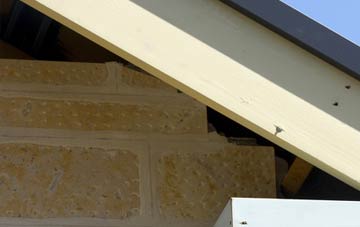 soffit repair Carron