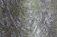 Carron fibreglass roof work